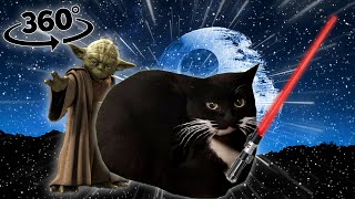 maxwell cat in stars wars 360 video