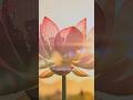 Deep Healing: 4Hz Binaural Beats & Golden Lotus 🪷✨