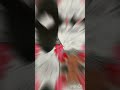 Kali maa painting 🔥🌺🌺🙏ll #drawing ❤️##painting ##ytshorts
