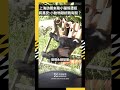 上海訪團來看小貓熊遭拒　蔣萬安:小動物跟統戰有關？｜NOWNEWS