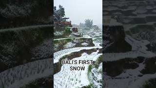 Snow In Bali Snowinbali Winterinparadise Bali Indonesia Surreal Tropicalsnow Magicalbal