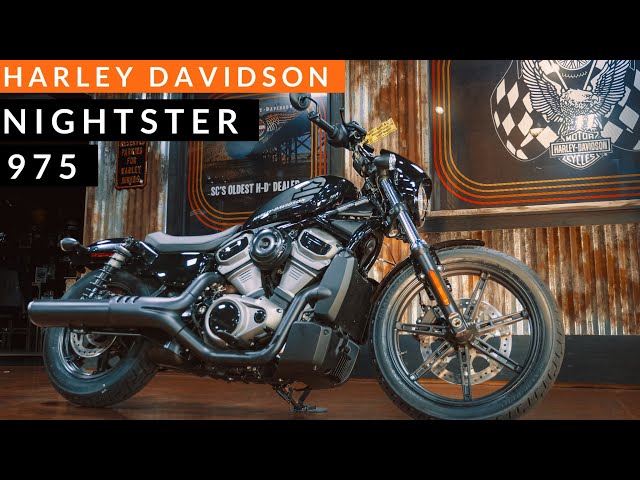 2022 Harley Davidson Nightster 975 (RH975) FULL review. - YouTube