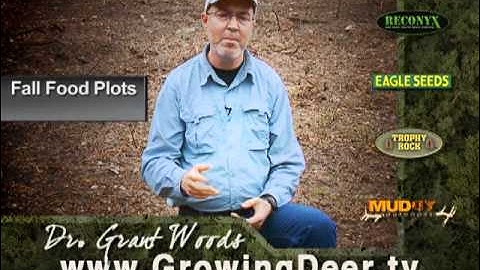Whitetail Food Plots: When To Plant Fall Food Plots
