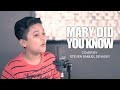 Mary Did You Know | Steven Samuel Devassy | Cover
