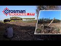 Crosman Shockwave .177 | Plinking &amp; shooting bottles | Crosman Shockwave a good beginners air rifle.
