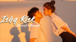 Ishq Risk Song Slowed,Reverb | Ishq Risk Full Song Lofi Song |Ishq Risk Song By Estheticclyrics Lofi