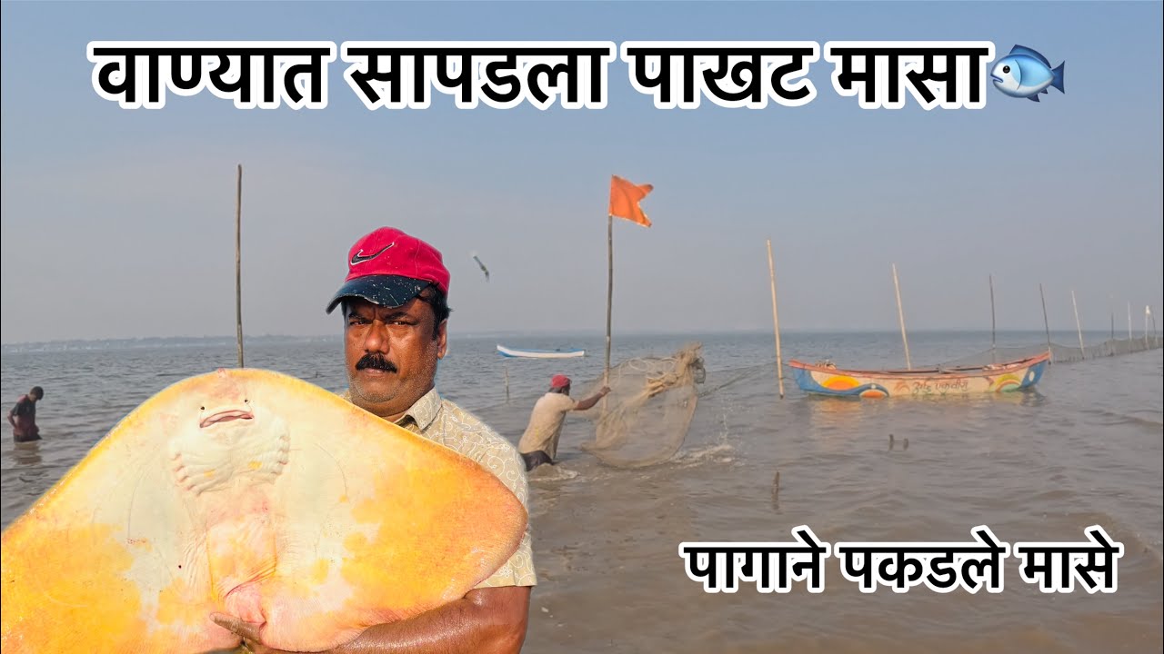 आज सापडला पाखट मासा🐟आणि पाणी सुकला नाही म्हणून पागाने मासे पकडले fish