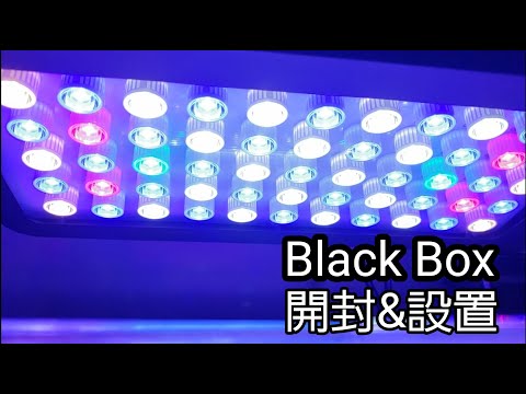 D924　海水水槽　照明　ブラックボックス ブラックボックス強光障害 拡散板取り付け - YouTube