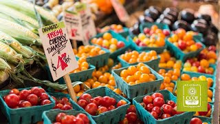 Building Successful Organic Businesses for Growers — CCOF Foundation Webinar