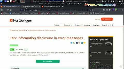 Portswigger Labs | information disclosure error message Lab 1