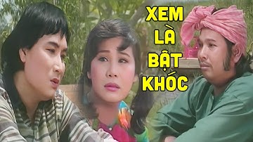 Không Cầm Được Nước Mắt Trước Lời Dặn Dò Cuối Cùng Cha Dành Cho Minh Vương -Cải Lương Xã Hội Đặc Sắc