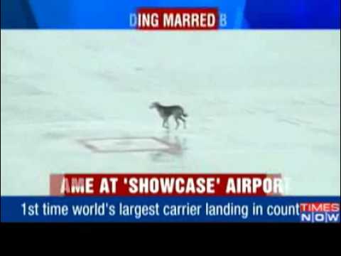 Dog stalls landing of Airbus A380 at New Delhi's new Indira Gandhi International airport's terminal in India