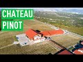 CHATEAU PINOT — самая интересная винодельня