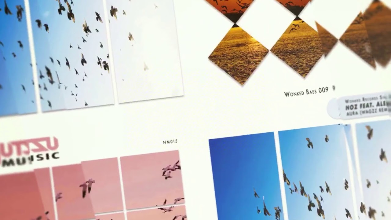 WoNKed Records 048: Hoz Featuring Aliesha Lobuczek - Aura (Wagzz Remix)