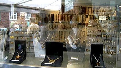 Rav i Ribe ambercat Boris