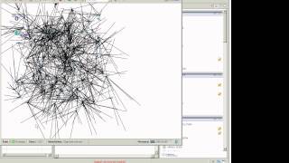 Celebrity 2013 10 22 Flocking Behavior Net Worth