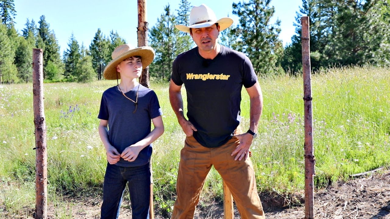 WHY WE BUILT A BEAVER DAM