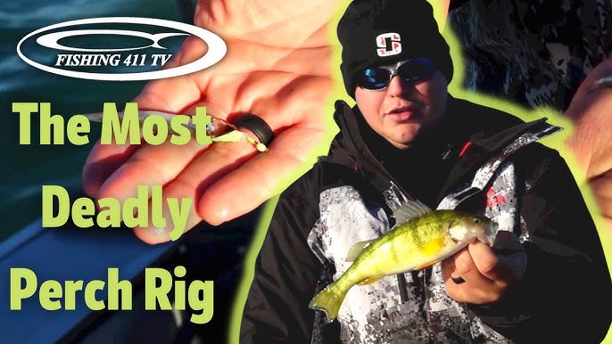 How To Tie a Simple Perch Rig - Feeder or Ledger 