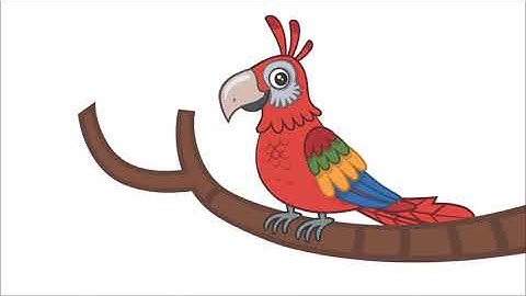 Tự học Tiếng Anh - Các loại chim (Speaking English For Beginners - Birds) | ABCFox