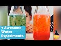 7 amazing science tricks with water  cool science experiments  simple experiments for kids