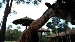 Hidden gems in Nairobi