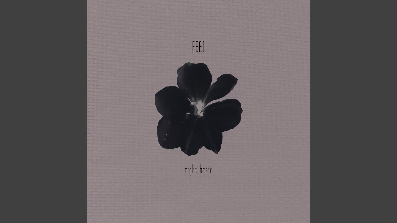 Watch Feel on YouTube Watch Feel on YouTube
