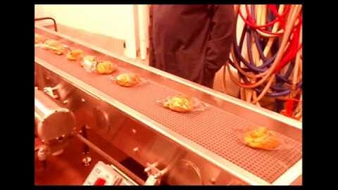 Singulator Conveyor System