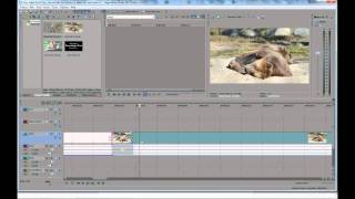 Sony Vegas Quick Tips: How to Add a Cross Fade Between Video Clips