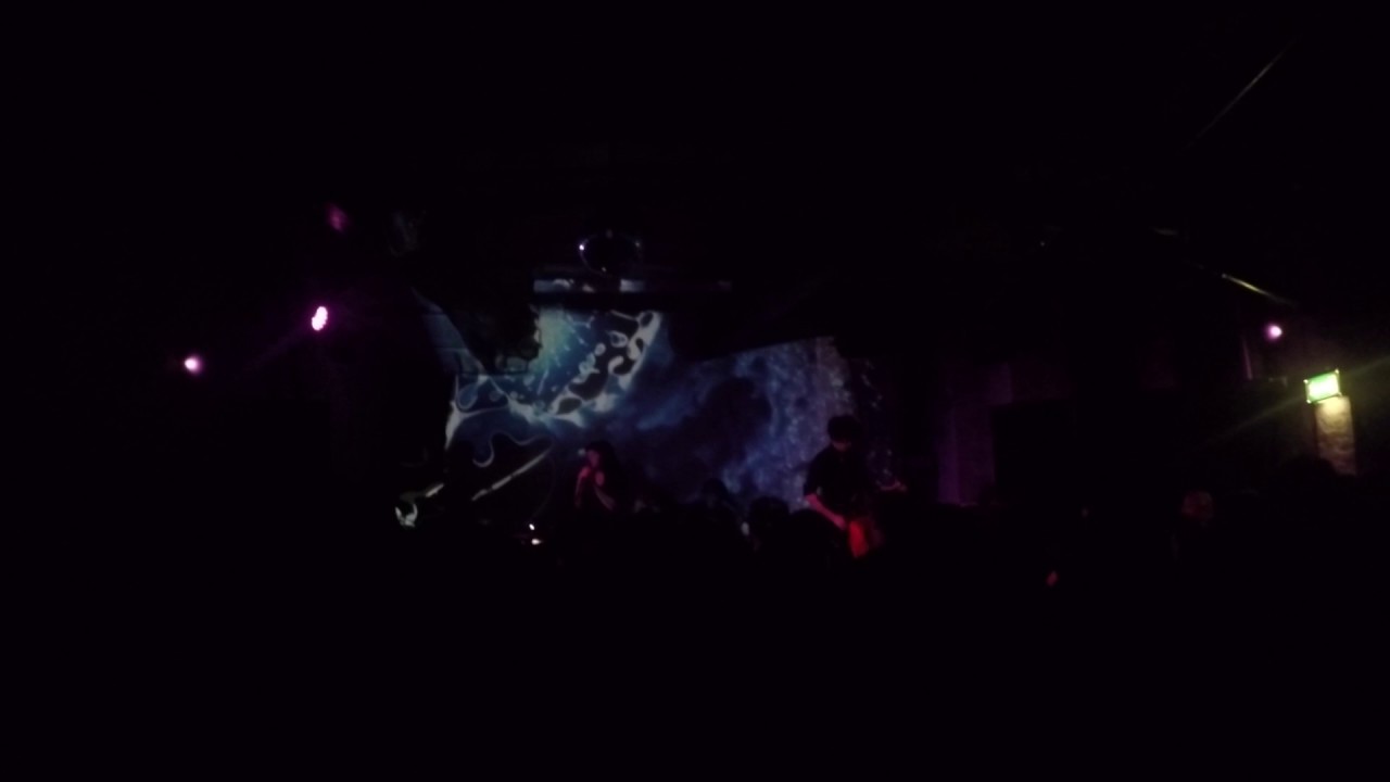 "Secret" performed by Tim Smith's Spratleys Japs