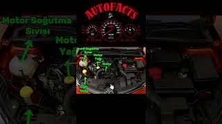 Arabanın Ön Kaput Düzeni Motor Bölümü Açıklama Auto Facts Tr