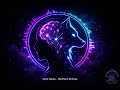 Mind Game - Northern Echoes