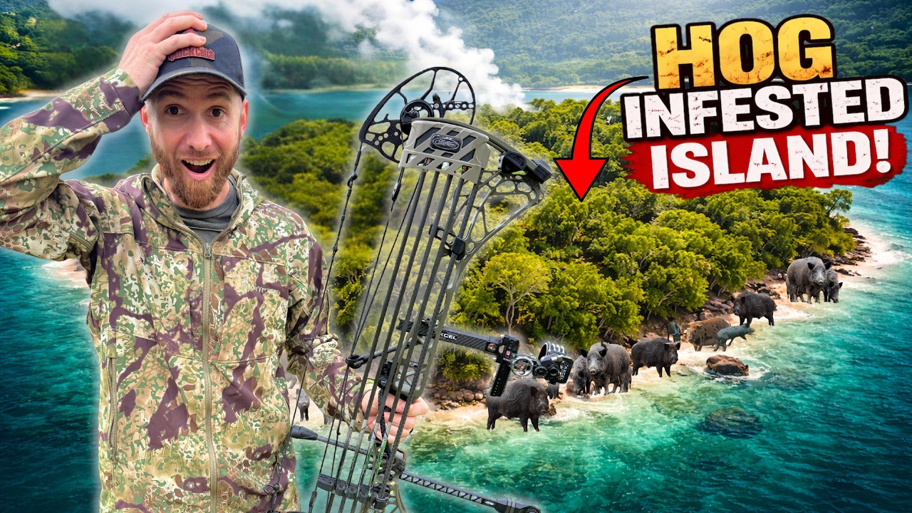 Bowhunting on a Hog INFESTED Island! TRULY UNBELIEVABLE!! - YouTube