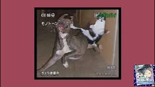 THE LIVING TOMBSTONE- DISCORD (SPEED UP)