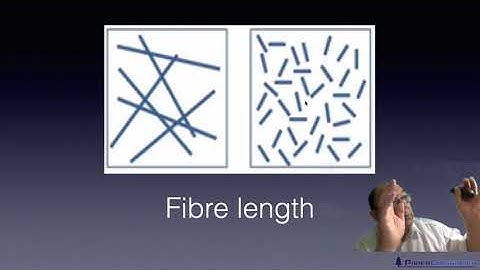 Level 2 Papermaking - Fibre structure