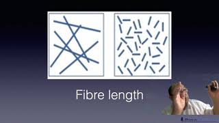 Level 2 Papermaking - Fibre Structure