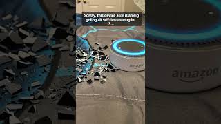 Two Amazon Echo Dot second generations exploding ………. and AI slop 