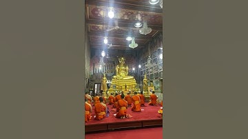 Thumbnail of Monk activity, pray in the evening #bangkok #buddha #buddhist #thailand #temple