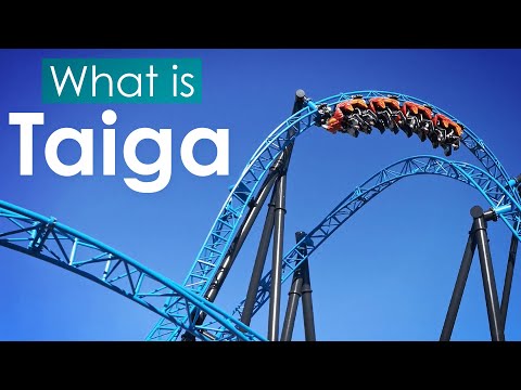 What is: Taiga - Finland's Best Roller Coaster