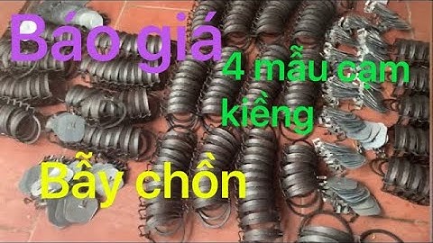 Giá (mới ) 4 mẫu cạm kiềng bẫy chồn -có bàn đạp .giá rẻ nhất cửa khẩu:lh:0392029881