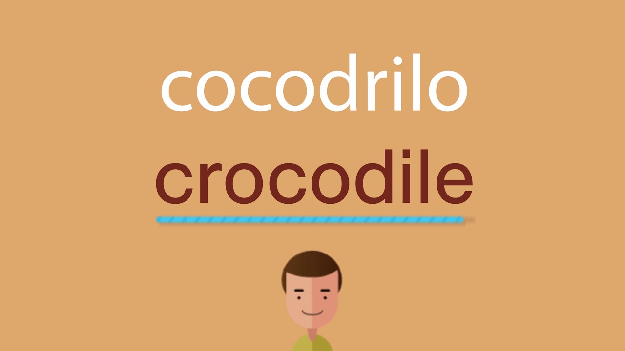 Actualizar 73+ imagen cómo se escribe cocodrilo en inglés