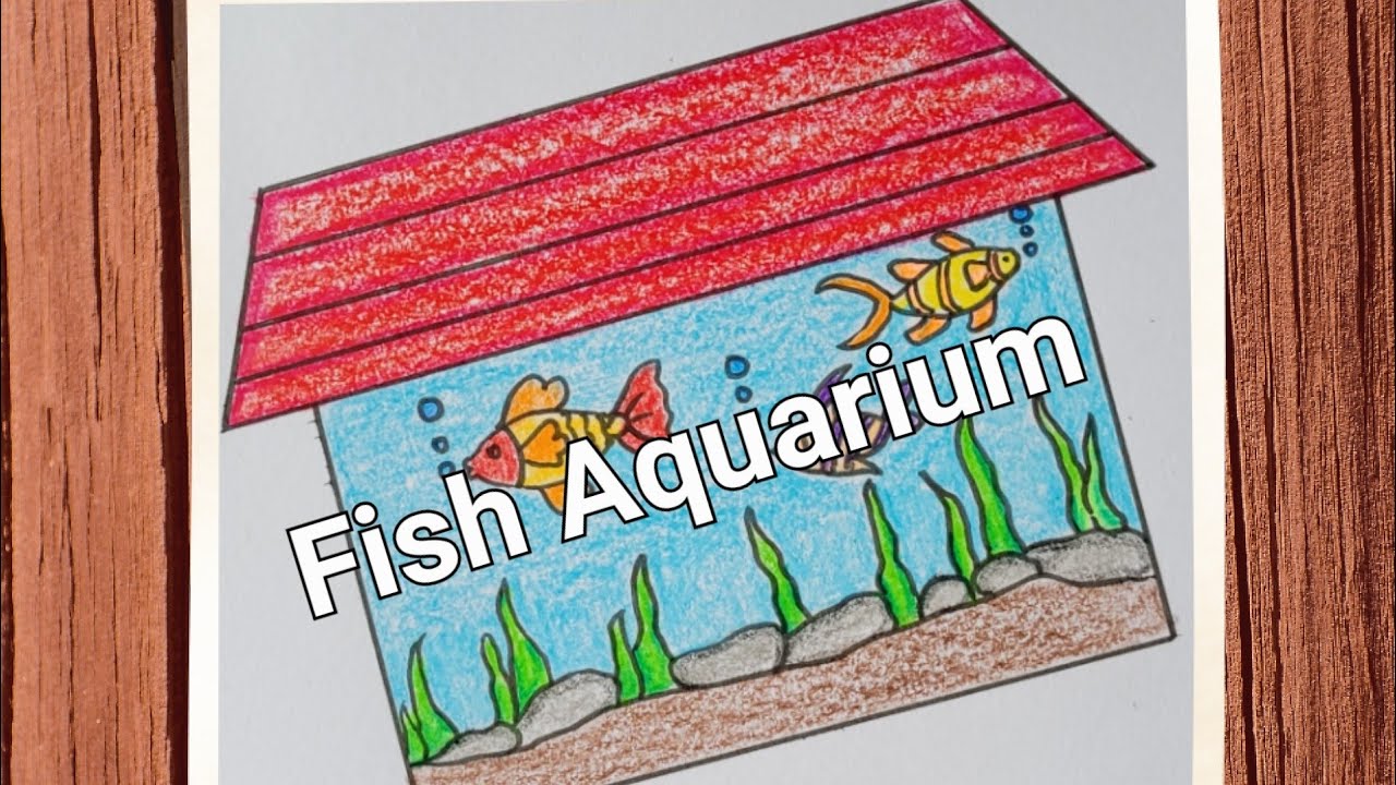 How to make an easy fish aquarium Drawing Simple fish tank Drawing