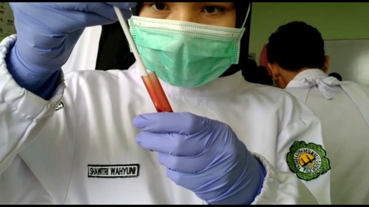 [HEMATOLOGI] PEMERIKSAAN INDEKS ERITROSIT