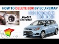 How to Delete EGR by ECU remapping-winols software