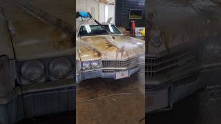 First Wash in 40 YEARS! 🚘💕 #BarnFind #CadillacEldorado #AbandonedCars #Detailing #DetailDane