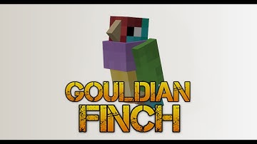 Techne Speed Modelling - 05 - Gouldian Finch