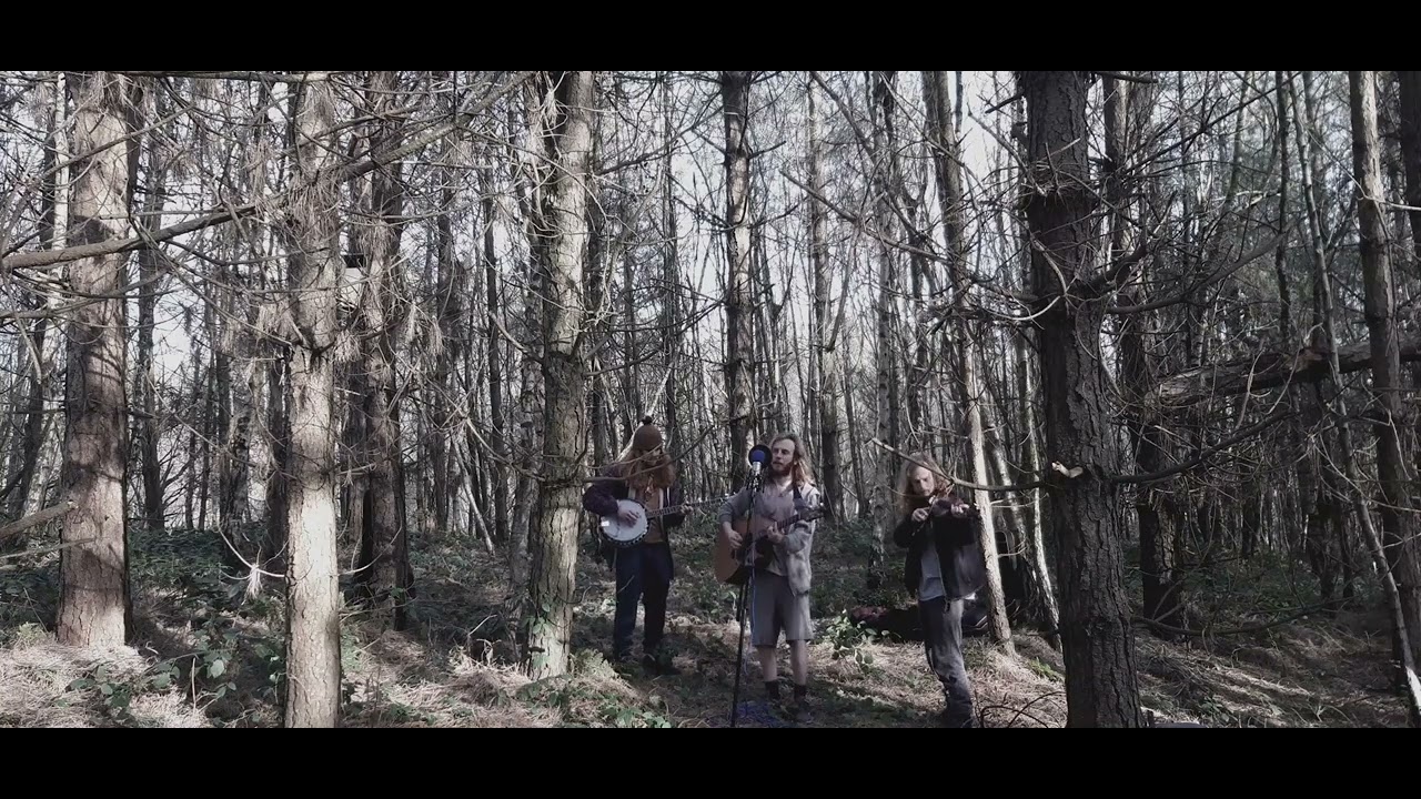 The rolling stones Paint it black Acoustic cover 432hz Delamere