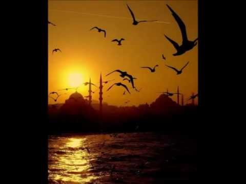 The Tea Party - The Halcyon Days