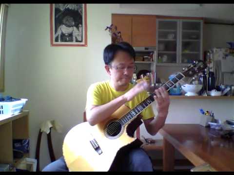The Rootwitch ~  Michael Hedges cover