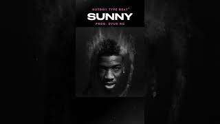[FREE] Hotboii Type Beat 2025 - "SUNNY" #hotboiitypebeat