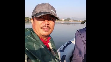 Câu cá chuối sộp tại đập Văn Sơn#Shorts